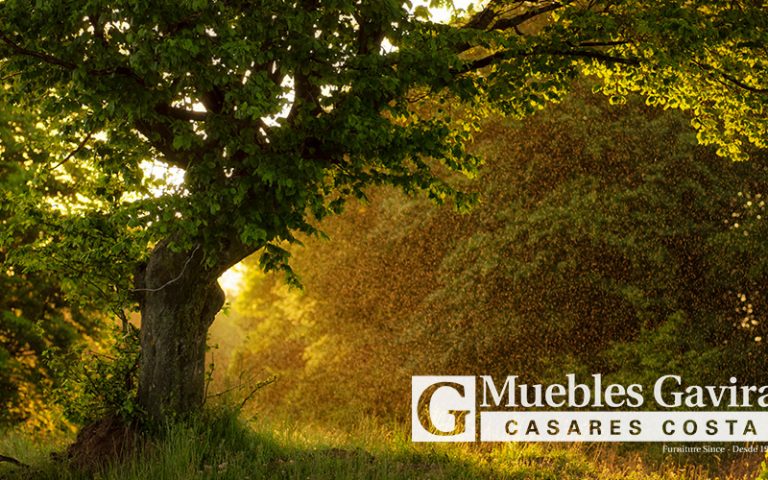 tendencias decoracion 2025 colores naturales